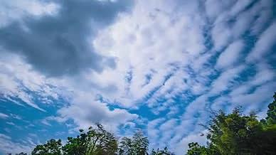 4k实拍自然风光夏日云海蓝天白云风光视频的预览图